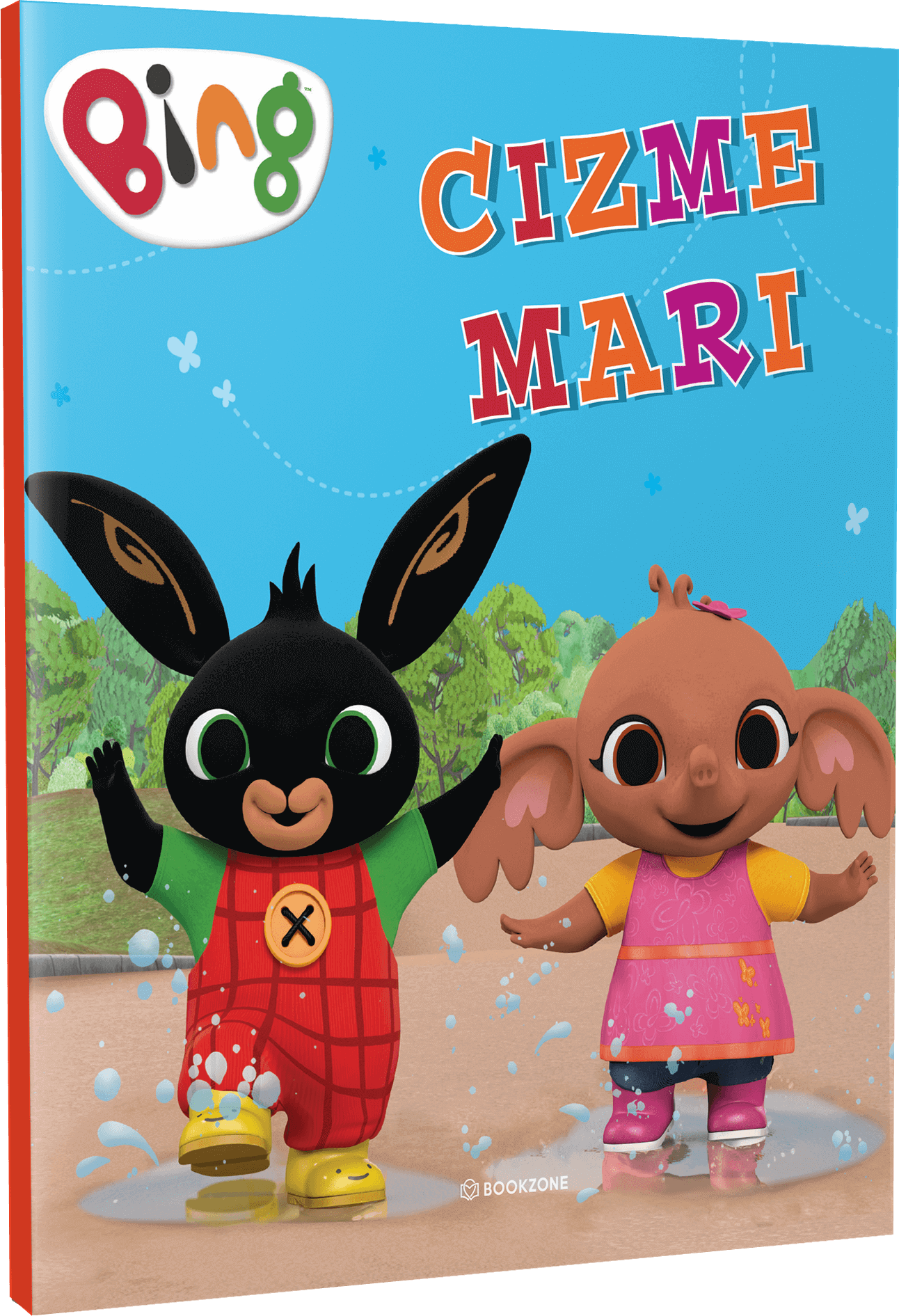 Cizme book
